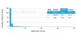 SPARC/Osteonectin Antibody in Peptide array (ARRAY)