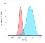 CD43 Antibody in Flow Cytometry (Flow)