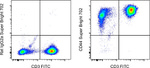 CD44 Antibody in Flow Cytometry (Flow)