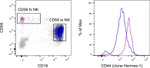 CD44 Antibody