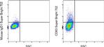 CD83 Antibody in Flow Cytometry (Flow)