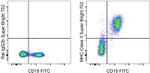 MHC Class II (I-A/I-E) Antibody in Flow Cytometry (Flow)