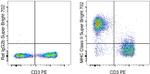 MHC Class II (I-A/I-E) Antibody in Flow Cytometry (Flow)