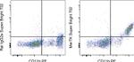 MERTK Antibody in Flow Cytometry (Flow)