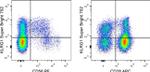 KLRG1 Antibody in Flow Cytometry (Flow)