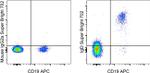 IgD Antibody in Flow Cytometry (Flow)