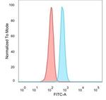 Serum Response Element Binding Transcription Factor (SRF) Antibody in Flow Cytometry (Flow)