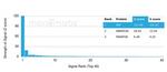 Serum Response Element Binding Transcription Factor (SRF) Antibody in Peptide array (ARRAY)