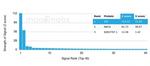 Serum Response Element Binding Transcription Factor (SRF) Antibody in Peptide array (ARRAY)