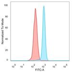 Serum Response Element Binding Transcription Factor (SRF) Antibody in Flow Cytometry (Flow)