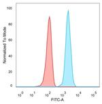 STAT5A Antibody in Flow Cytometry (Flow)