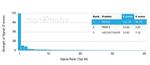 MED22 (Transcription Factor) Antibody in Peptide array (ARRAY)