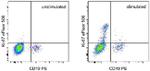 Ki-67 Antibody in Flow Cytometry (Flow)