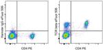 TCR beta Antibody in Flow Cytometry (Flow)