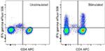 IFN gamma Antibody in Flow Cytometry (Flow)