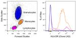 HLA-DR Antibody