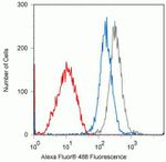 Phospho-PKC theta (Thr538) Antibody in Flow Cytometry (Flow)