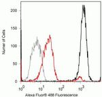 Phospho-SMAD1/SMAD5 (Ser463, Ser465) Antibody in Flow Cytometry (Flow)