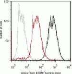 TAK1 Antibody in Flow Cytometry (Flow)