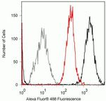 STAT4 Antibody in Flow Cytometry (Flow)