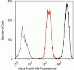 SUMO-3 Antibody in Flow Cytometry (Flow)