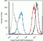 Phospho-4EBP1 (Thr37) Antibody in Flow Cytometry (Flow)