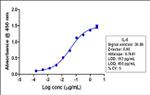 IL-6 Antibody in ELISA (ELISA)