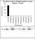 Phospho-Histone H3 (Ser10) Antibody