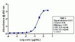 TIMP4 Antibody in ELISA (ELISA)