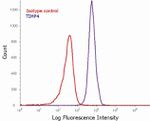 TIMP4 Antibody in Flow Cytometry (Flow)