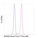 RUNX2 Antibody in Flow Cytometry (Flow)