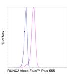 RUNX2 Antibody in Flow Cytometry (Flow)