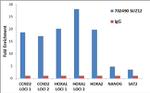 SUZ12 Antibody in ChIP Assay (ChIP)