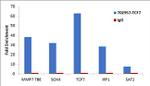 TCF7 Antibody in ChIP Assay (ChIP)