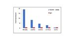 CHD8 Antibody in ChIP Assay (ChIP)