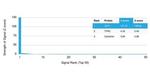 CD71/Transferrin Receptor (TFRC) Antibody in Peptide array (ARRAY)