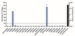 H3K9ac Antibody