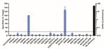 H3K14ac Antibody