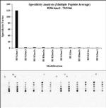 H3K4me1 Antibody in Peptide array (ARRAY)