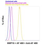 Alexa Fluor 488 Antibody in Flow Cytometry (Flow)