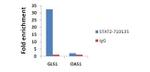 STAT2 Antibody