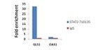 STAT2 Antibody in ChIP Assay (ChIP)