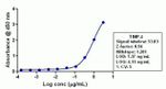 TIMP4 Antibody in ELISA (ELISA)