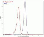 TIMP4 Antibody in Flow Cytometry (Flow)