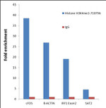 H3K4me2 Antibody in ChIP Assay (ChIP)