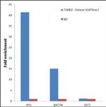 H3K79me2 Antibody in ChIP Assay (ChIP)