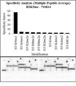 H3K9me1 Antibody