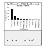 H4K12ac Antibody in Peptide array (ARRAY)