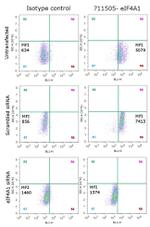 eIF4A1 Antibody in Flow Cytometry (Flow)