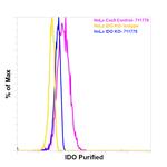 IDO Antibody in Flow Cytometry (Flow)